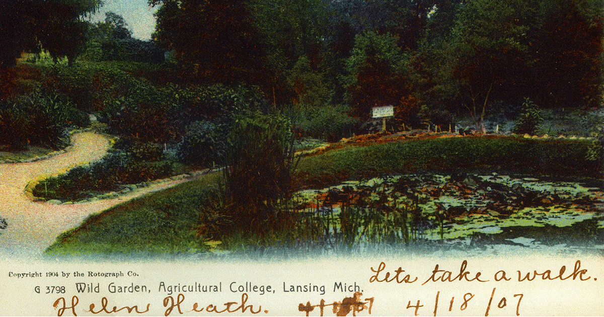 Historic 1904 postcard of a botanical garden. Image credit: MSU Archives