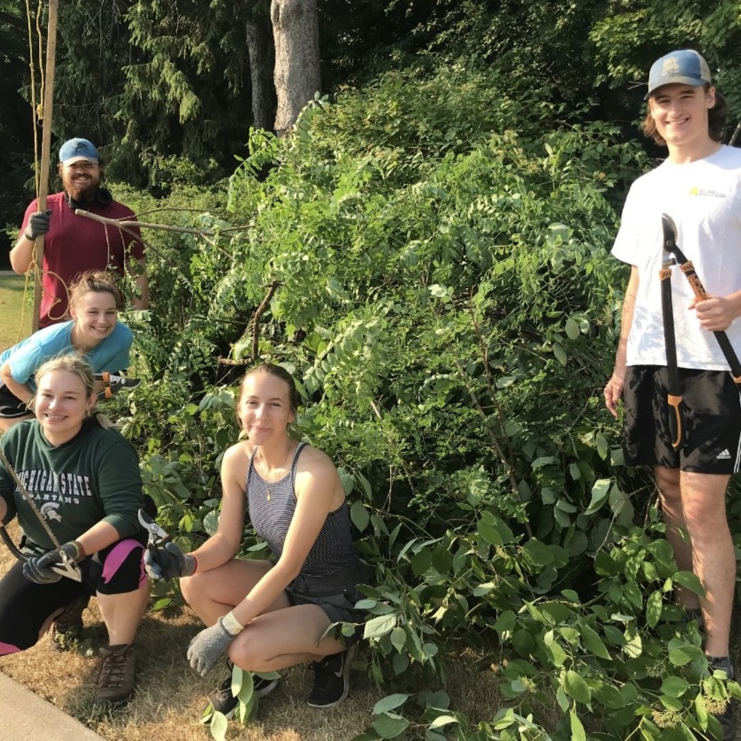 Students removing invasive species in Beal Gardens